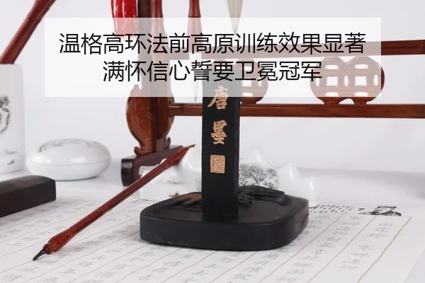 wen-ge-gao-huan-fa-qian-gao-yuan-xun-lian-xiao-guo-xian-zhu-man-huai-xin-xin-shi-yao-wei-mian-guan-jun-2-339.jpg