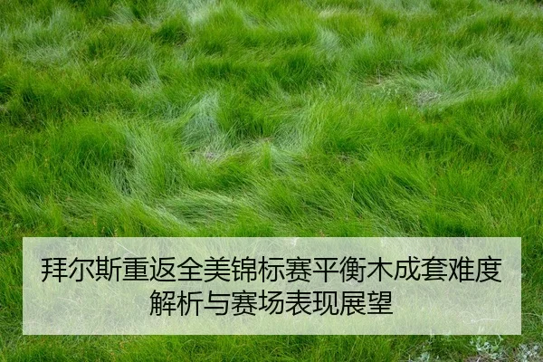 bai-er-si-chong-fan-quan-mei-jin-biao-sai-ping-heng-mu-cheng-tao-nan-du-jie-xi-yu-sai-chang-biao-xian-zhan-wang-2-594.jpg